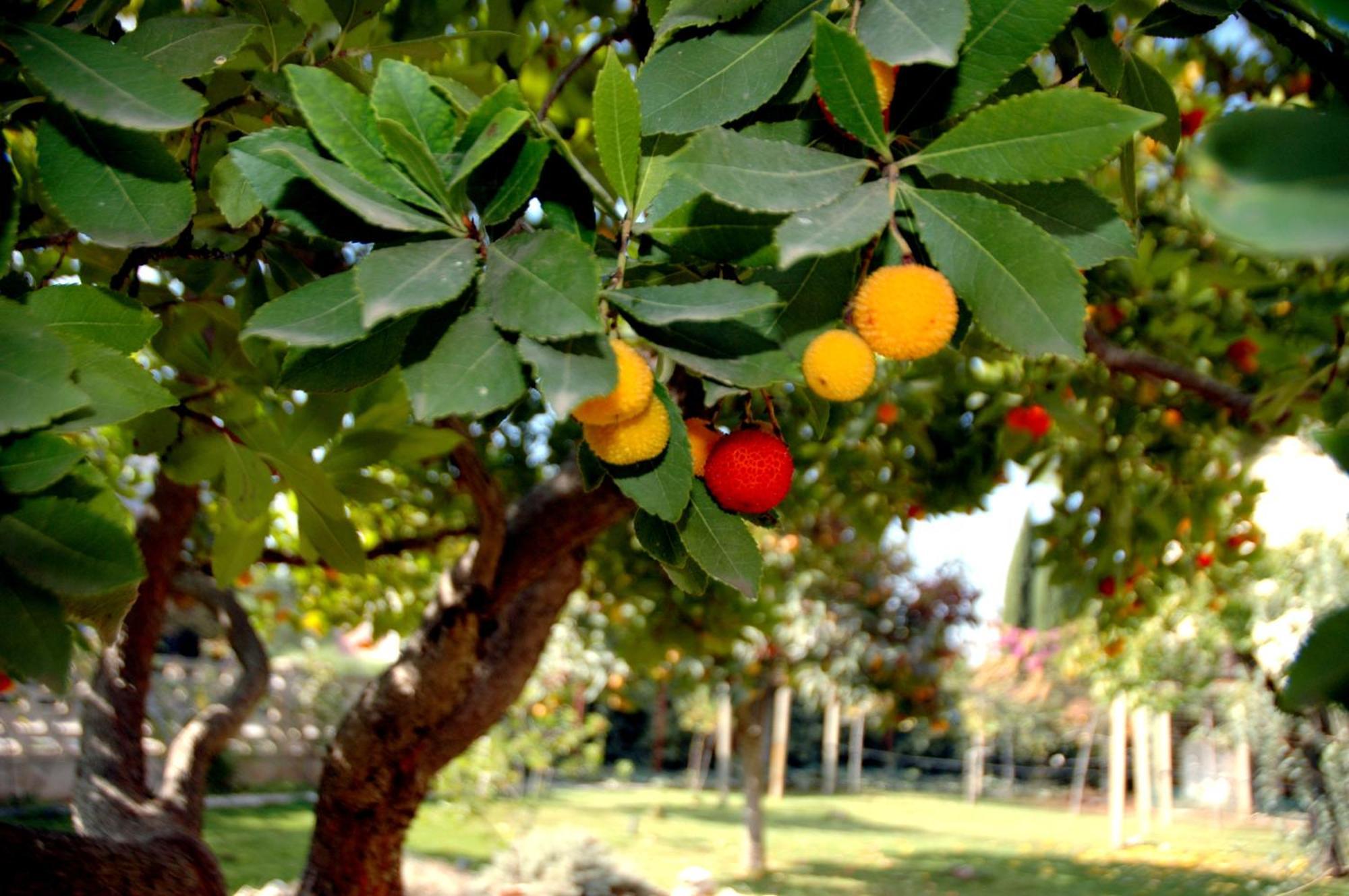 Casa Dolce Casa Ruvo Ξενοδοχείο Ruvo di Puglia Εξωτερικό φωτογραφία