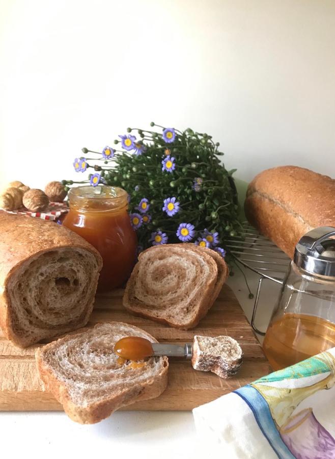 Casa Dolce Casa Ruvo Ξενοδοχείο Ruvo di Puglia Εξωτερικό φωτογραφία