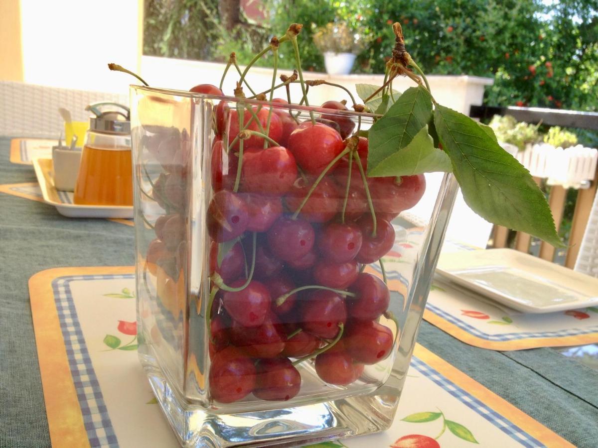 Casa Dolce Casa Ruvo Ξενοδοχείο Ruvo di Puglia Εξωτερικό φωτογραφία
