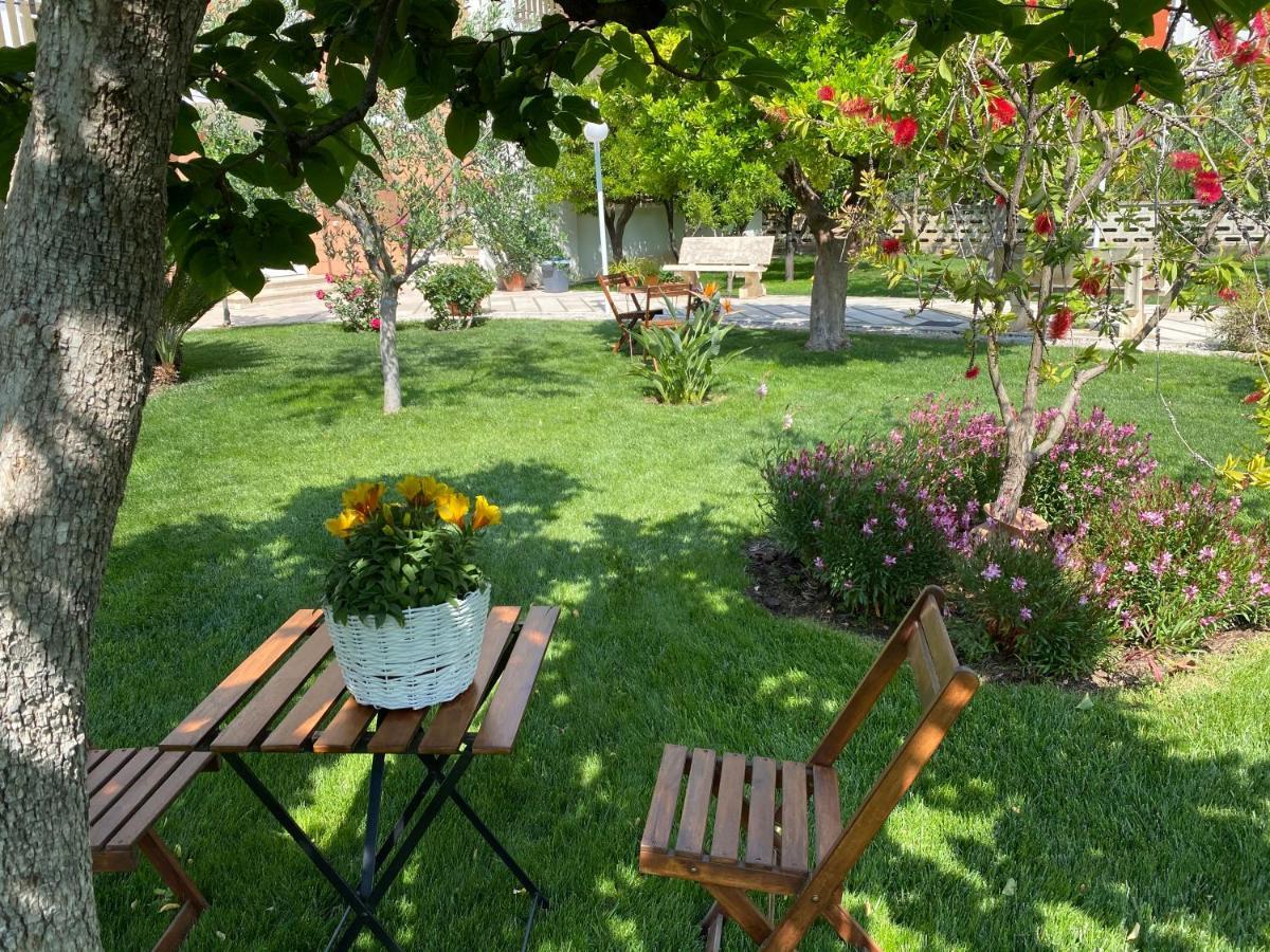 Casa Dolce Casa Ruvo Ξενοδοχείο Ruvo di Puglia Εξωτερικό φωτογραφία